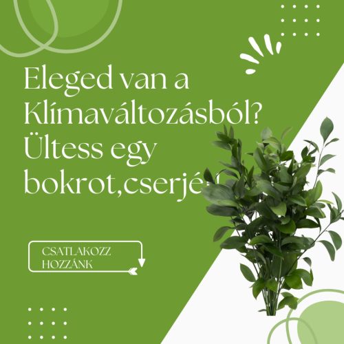 Fed up with climate change? Plant a bush!