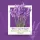 Plant a Flower! Let