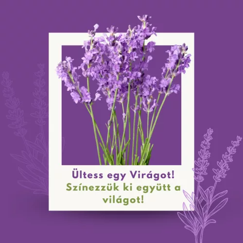 Plant a Flower! Let