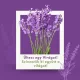 Plant a Flower! Let