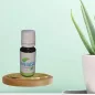 Ahimsa Laundry Perfume 10 ml Aloe vera ~ 15 Washes