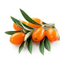 Apotheke - Homoktövis Tea, 20 filter