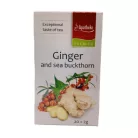 Apotheke - Gyömbér és Homoktövis Tea, 20 filter - Premier Selection