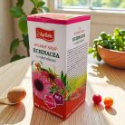 Apotheke echinacea szirup homoktövissel 250g