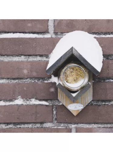 Esschert Design Napraforgómag mogyoróvajban madáreleség - 250 g