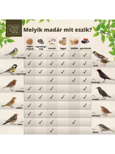 Esschert Design Napraforgómag mogyoróvajban madáreleség - 250 g