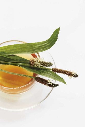 Drapal - Bio Lándzsás Útifű Préslé, 200ml