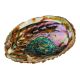 Croll&Denecke seashell bowl