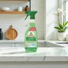 Frosch window cleaner with spirit 500 ml