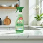 Frosch window cleaner with spirit 500 ml