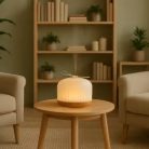 Origin illóolaj diffúzor üvegből és  fából